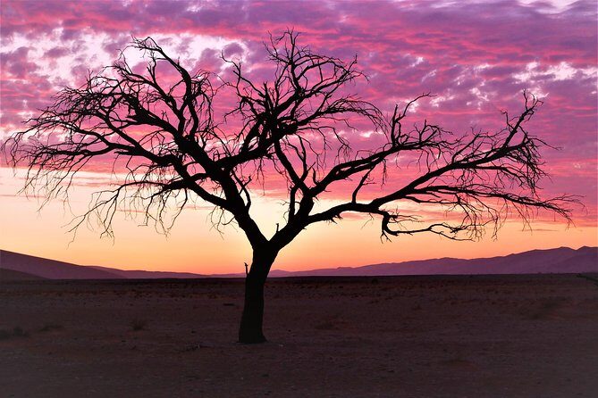 2 Days Sossusvlei Private Camping Tour - Authentic Experiences and Genuine Reviews
