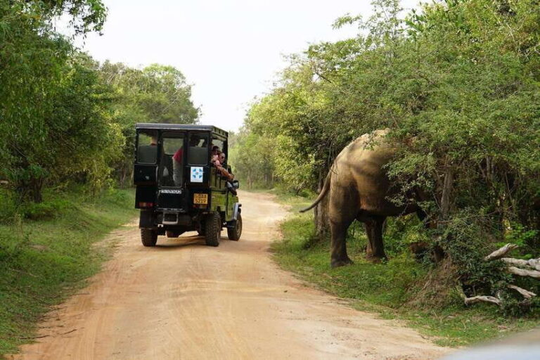 2 days Sri Lanka: All-inclusive tour to Ella and Yala with 4-star hotel - Why This Tour Offers Great Value