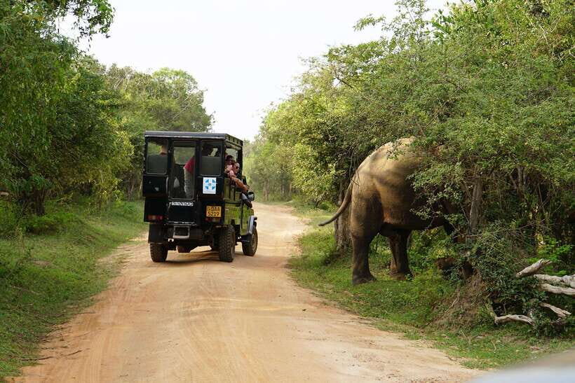 2 days Sri Lanka: All-inclusive tour to Ella and Yala with 4-star hotel - Why This Tour Offers Great Value