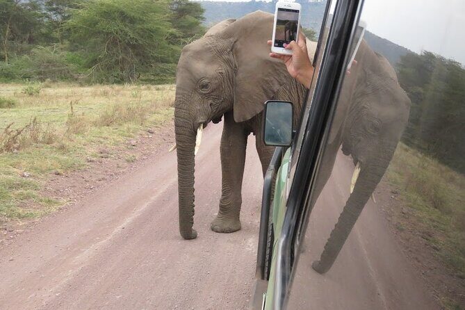 2 Days Tarangire and Ngorongoro Crater Tour - Final Thoughts