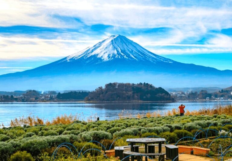 2 Days Tokyo, Mount Fuji Trip Private Guided Tour - The Value of This Tour