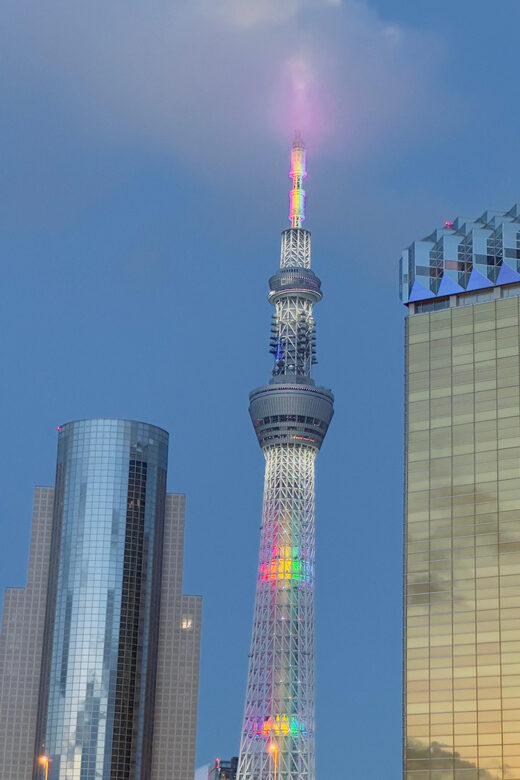 2 Days Tokyo & Mt Fuji Customizable tour with English Driver - Authentic Experiences and Traveler Satisfaction