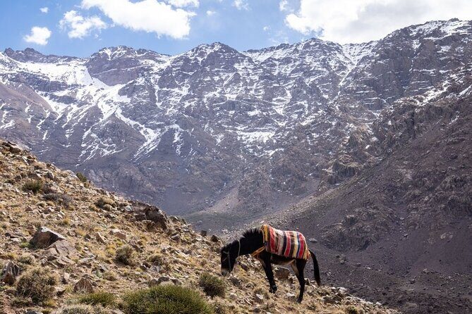 2-Days Toubkal Trek from Marrakech with Local Guide - The Realities and Considerations