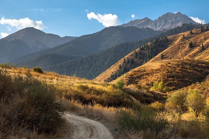 2 Days Tour: Charyn Canyon, Kaindy & Kolsay Lakes - The Practicalities: Value, Price, and Booking