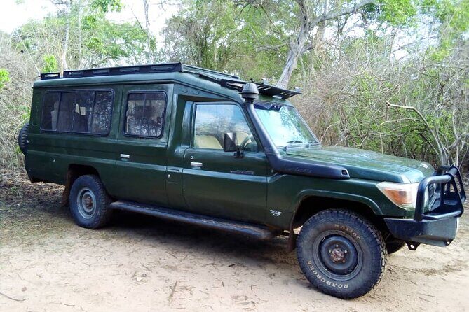 2 Days Tour From Zanzibar to Nyerere National Park (Selous GR) - Real Experiences and What Travelers Say
