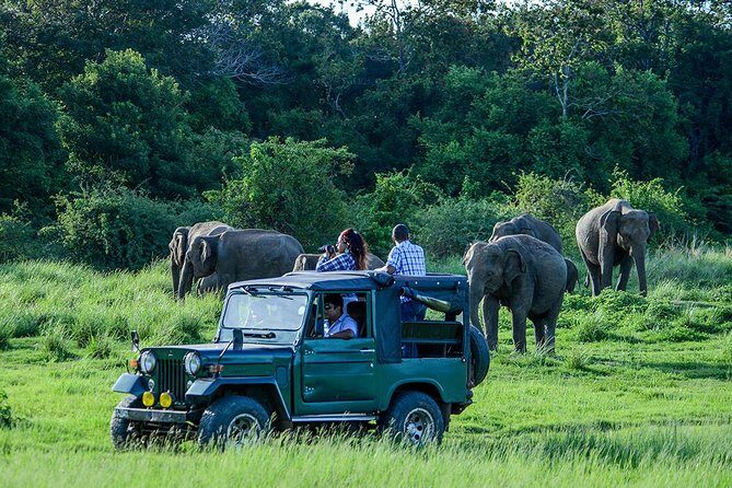 2 Days Tour of Double Safari (Yala & Udawalawe) - All Inclusive - Who Would Enjoy This Tour?