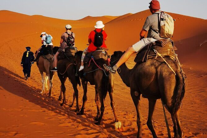 2 Days Trip Sahara Desert Fez To Fez - What Travelers Say