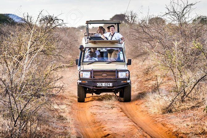 2 Days Tsavo east Jeep Safari (minimum 2 persons) - What Travelers Say