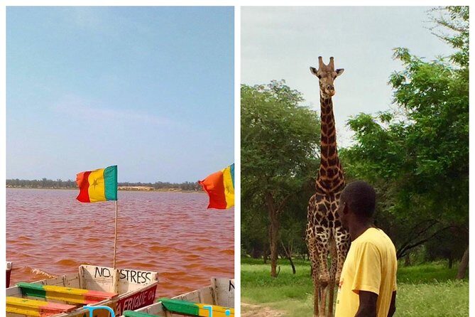 2 Days VISIT Dakar CITY, Gorée ISLAND - PINK LAKE, Parc Bandia - What the Tour Means for You