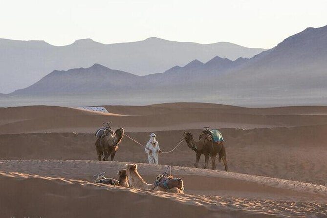 2-Days Zagora desert tour from Marrakech - Breakdown of the Itinerary
