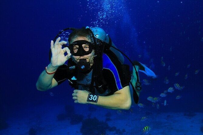 2 Dive Stops Intro Scuba Diving With Lunch & Transfer - Hurghada - The Value of This Experience