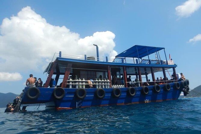 2 Fun Dives for certified Divers - Pricing and Value