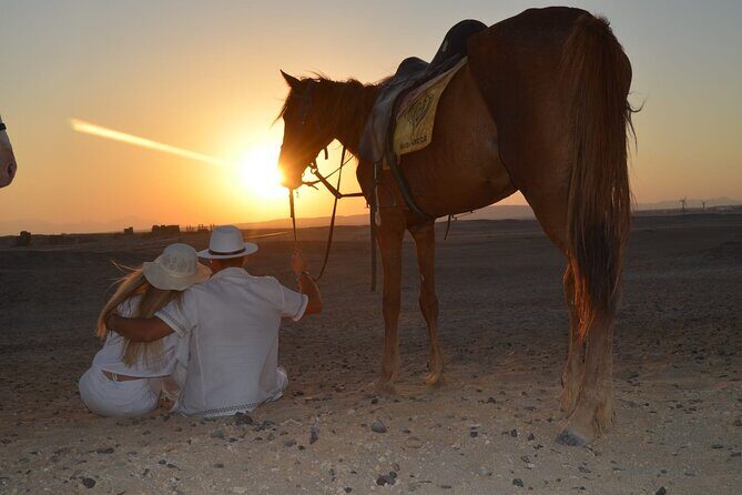 2 Hour Horse Riding Experience in Hurghada - Why You Should Consider This Tour