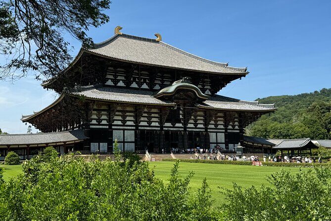 2-Hour Nara: Discover Every Bit of Tohdaiji-Temple Private Tour - Why This Tour Offers Great Value