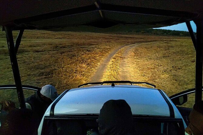 2 Hour Stargazing Tour in Victoria Falls NP Area in 4x4 - What Makes This Tour Special