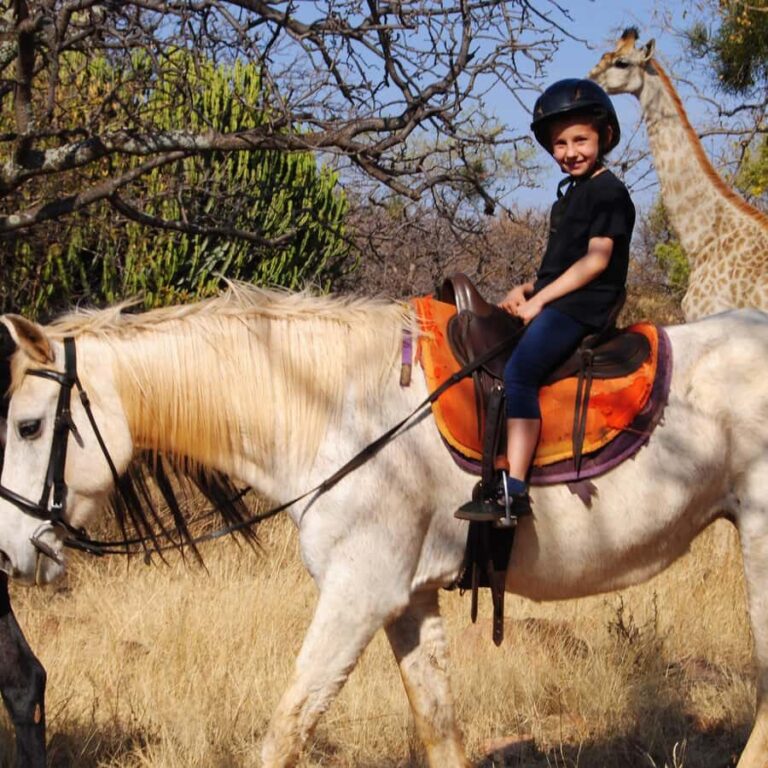 2 hour Sunrise Horseback Safari - What the Ride Entails: From Arrival to Departure