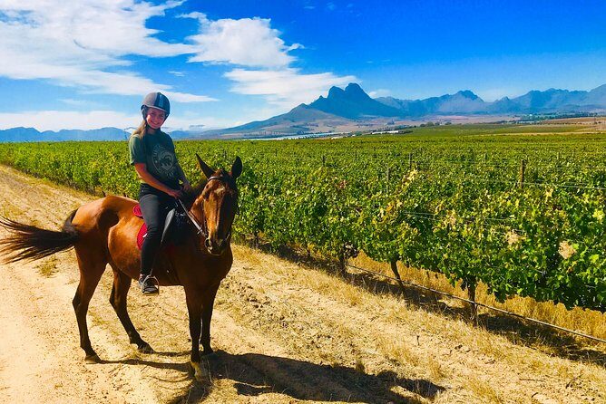 2 Hour Vineyard Trail Ride - Final Thoughts: Is This Tour Worth It?