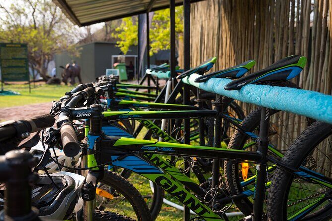 2 Hours Bike Tour In Victoria Falls - Authenticity and Value: What Makes This Tour Stand Out
