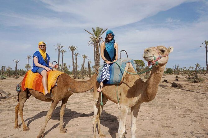 2 Hours Camel Ride in The Famous Marrakech Palm Groves and Berber Villages - Authenticity and Traveler Insights