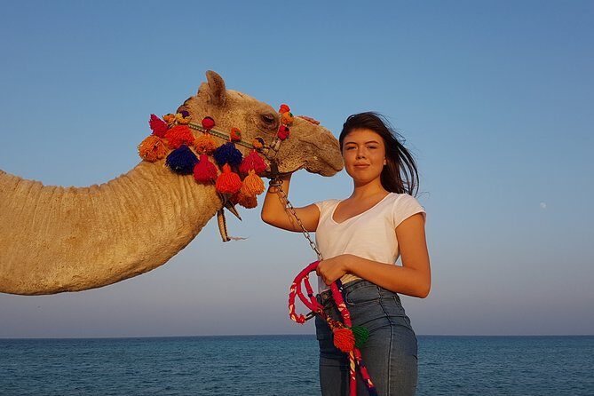 2 hours Camel Riding at Amazing Desert & Sea With Transfer - Hurghada - Authenticity and Reviews: What Travelers Say