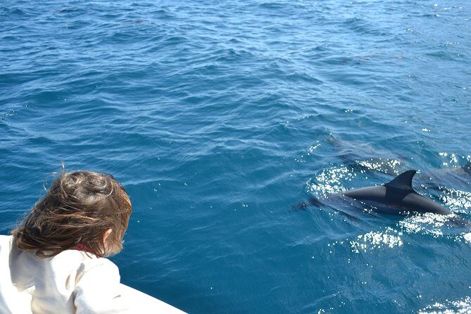 2-Hours Dolphin Excursion in Mauritius - FAQ