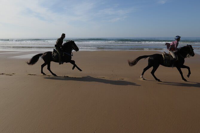 2 hours horse ride beach and dunes in Essaouira Morocco - What Travelers Are Saying: Authentic Perspectives