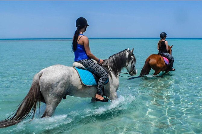 2 Hours Horse Riding Adventure in The Sea & Desert - Hurghada - Transition to the Desert: From Sea to Sand