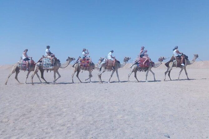 2 hours Horse Riding on The Sea and Desert- Hurghada - What Makes it Special