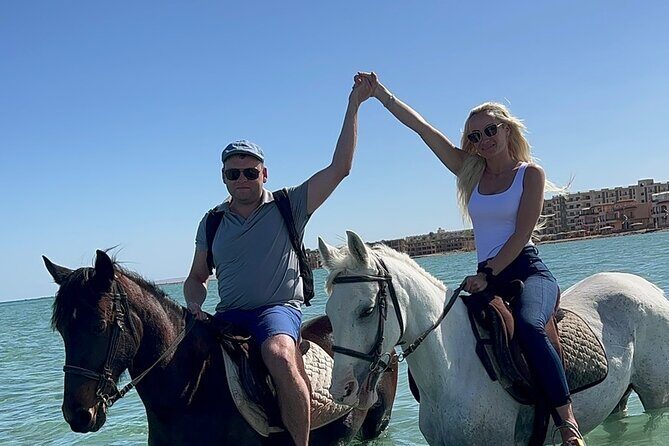 2 hours Horse riding or Camel riding at Hurghada - Transportation & Pricing