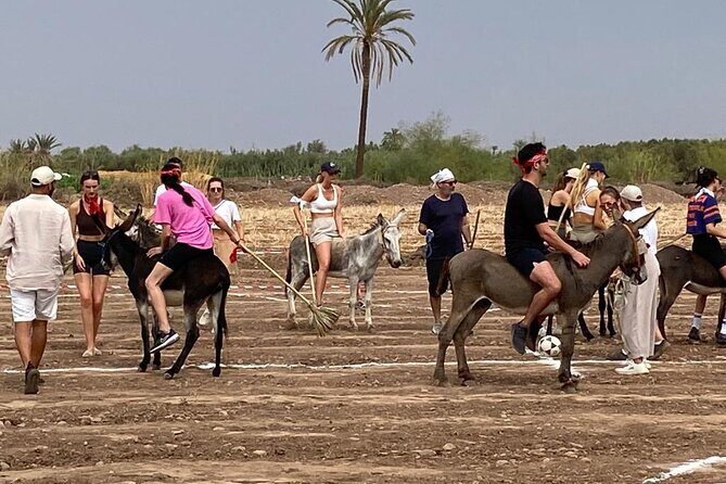 2 Hours of Donkey Polo in Marrakech - The Itinerary and Experience