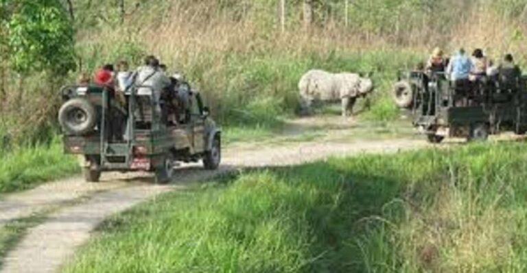 2 N 3 Days Chitwan tour package from Pokhara or Kathmandu - Cultural Encounters and Local Life
