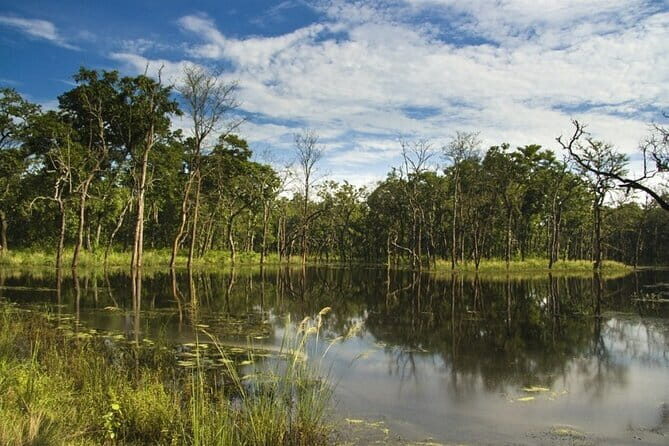 2 Night 3 Day Chitwan Jungle Safari Tour from Pokhara - Overall Experience and Value