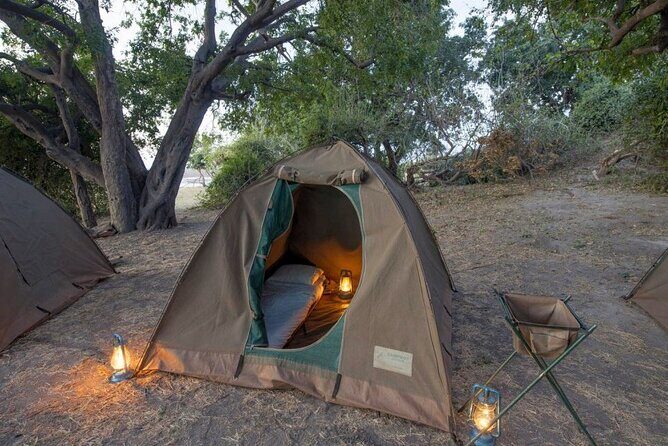 2 Nights 3 Days Chobe Safari ex Livingstone/ Victoria Falls - Who Is This Safari Best For?