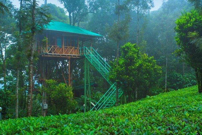 2 Nights Munnar Treehouse Escape with Private Car- Iris Holidays - Detailed Review of the Tour Experience