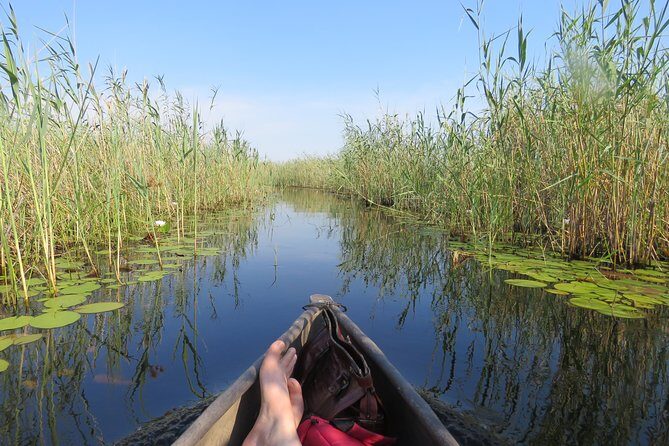 2 Nights Okavango Delta Mokoro WildCamping Tour, all-inclusive - What’s included and what to consider