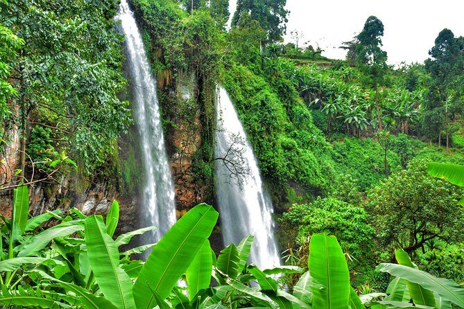 2 Sipi Falls hike and Coffee Tour Experience - Final Thoughts: Is This Tour for You?