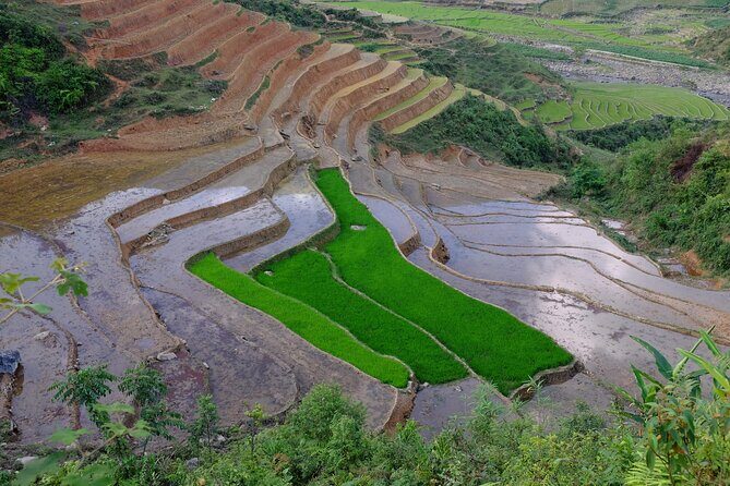 2D1N Buffalo trek by Hmong Sister House and Trekking - Exploring the Itinerary in Detail