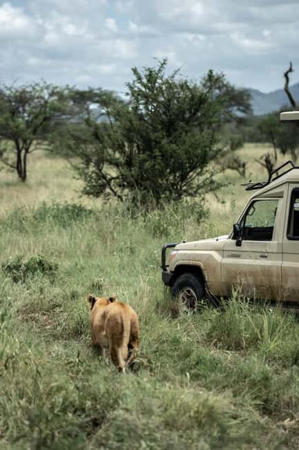 2day budget safari to Tarangire & Lake Manyara National Park - What’s Included and What to Budget For
