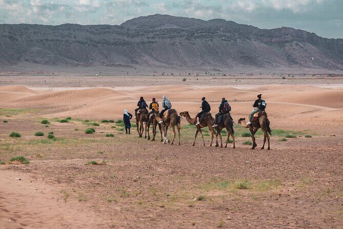 2day Shared tour to zagora desert via Atlas mountains - What Makes This Tour Stand Out?