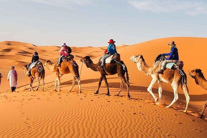 2Days Share Tour From Fes To Marrakech Or Fes Via Sahara & camel - What to Expect and What to Keep in Mind