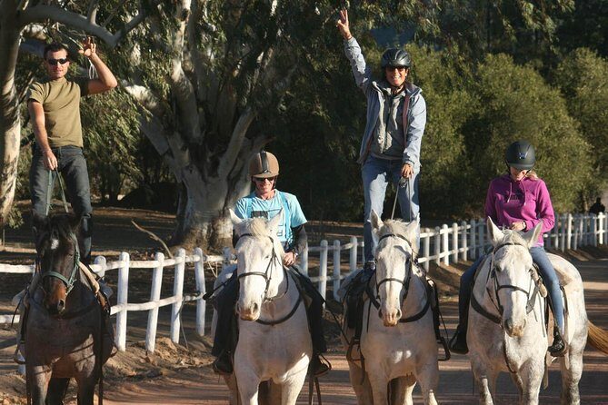 2h Horse Trail - What to Expect: From Arrival to the Trail