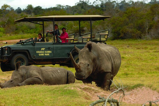 2hr Guided Game Drive at 10h00; Kragga Kamma Game Park Ticket - An Overview of the Experience