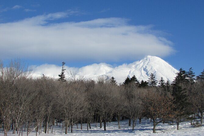 3.5hours Primeval Forest Snowshoe hike and Wildlife Watching Tour - Who Will Love This Tour?