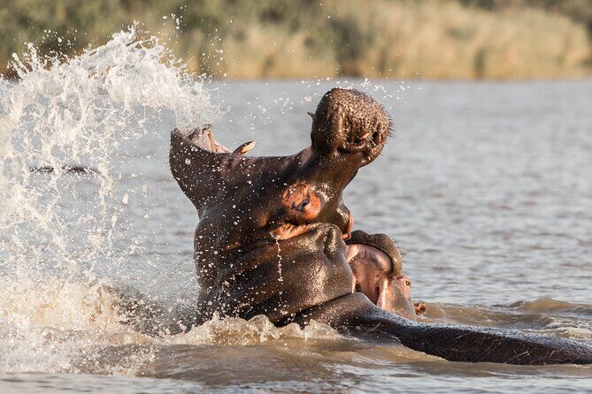 3 Day 2 Night Hluhluwe, St Lucia, Isimangaliso Tour - The Price and Its Value