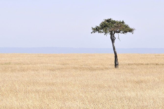 3 Day 2 Nights Maasai Mara Safari - What’s Included and What’s Not