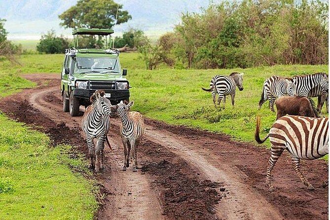 3 Day Amboseli National Park All-Inclusive Camping Safari - Cultural Touch: Day 3
