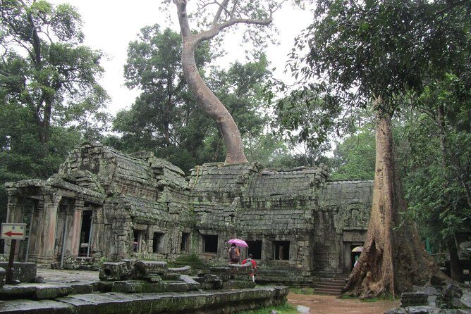 3-Day Angkor, Lake-side Village & Roluos Temples Tour - Authentic Reviews and Insights
