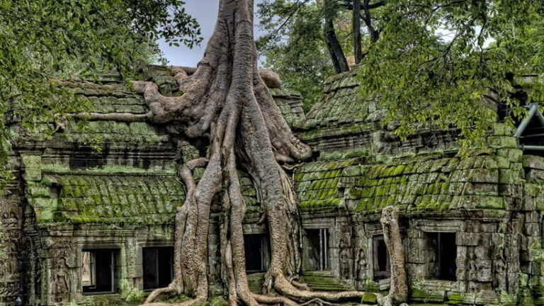 3-Day Angkor Wat & All Interesting Temples With Beng Mealea - Final Thoughts