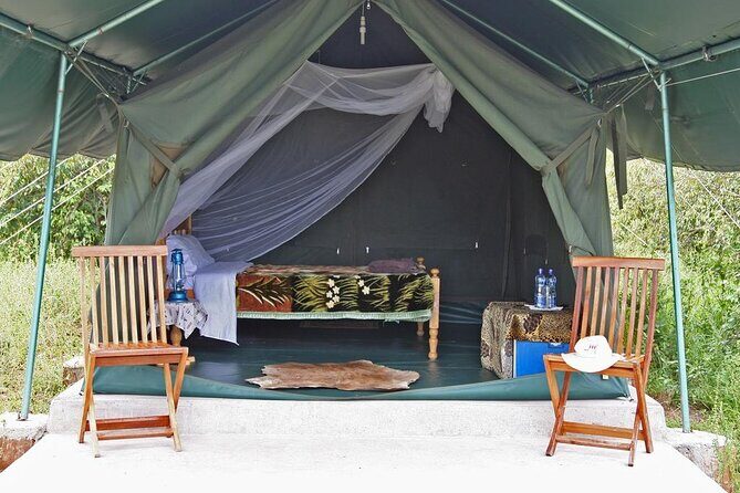 3-Day Budget Maasai Mara Joining Safari with 4x4 LandCruiser Jeep - Considering the Cost: What Value Do You Get?