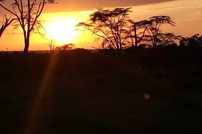 3-day Budget Safari To Maasai Mara - Practical Aspects: Transportation, Accommodation, and Meals